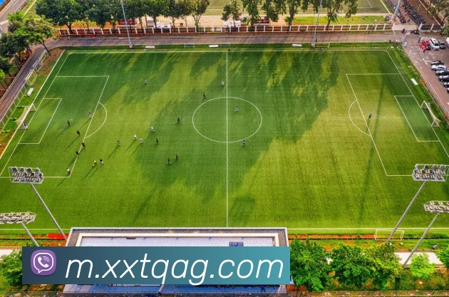 ag官网发展历程